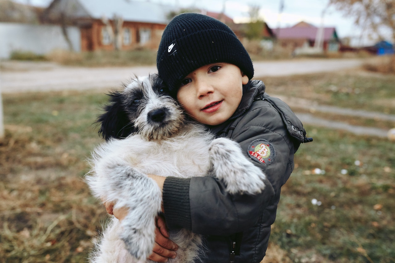chłopiec z psem